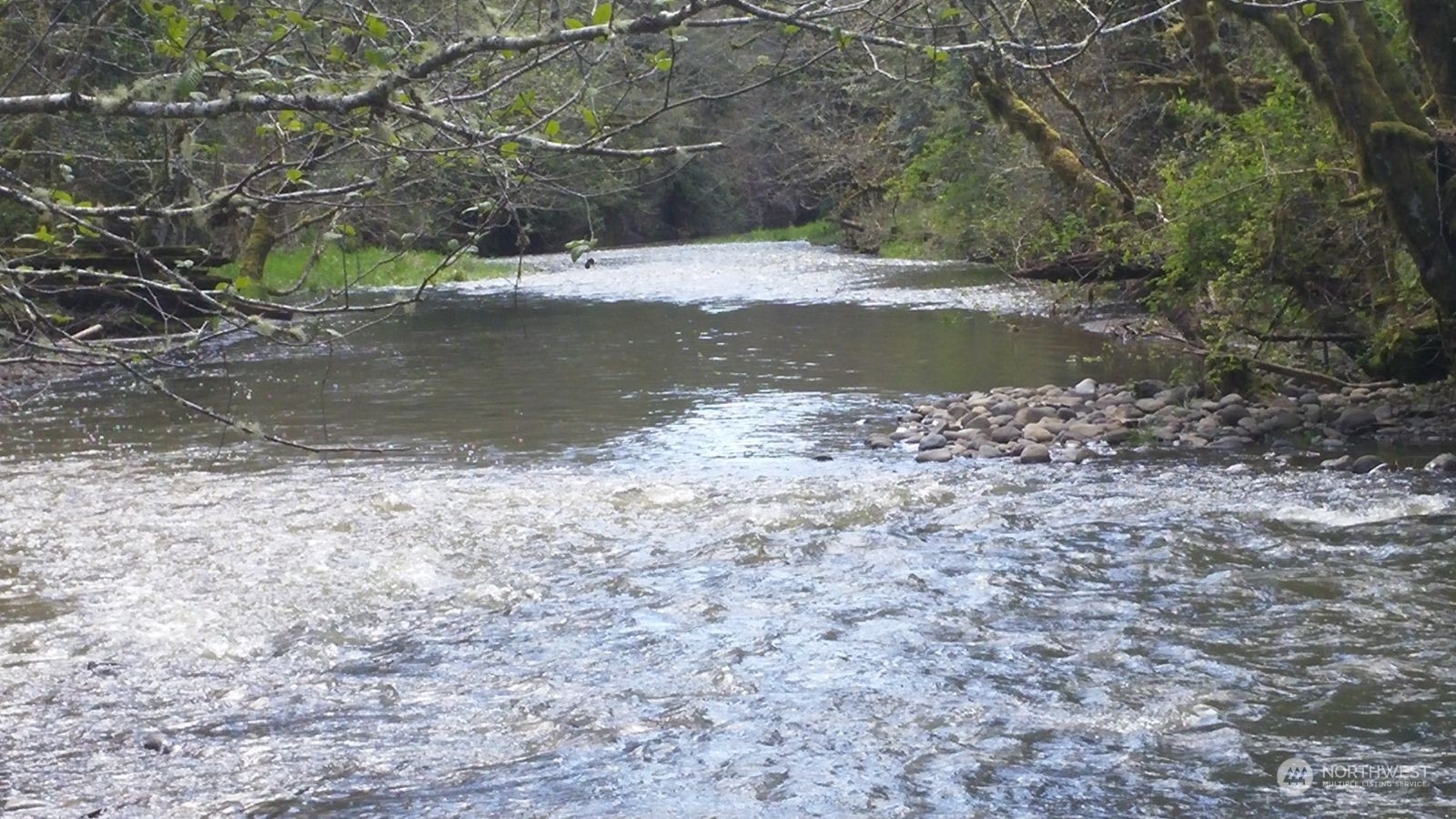 Property Photo: 0 State Route 505 WA 98596