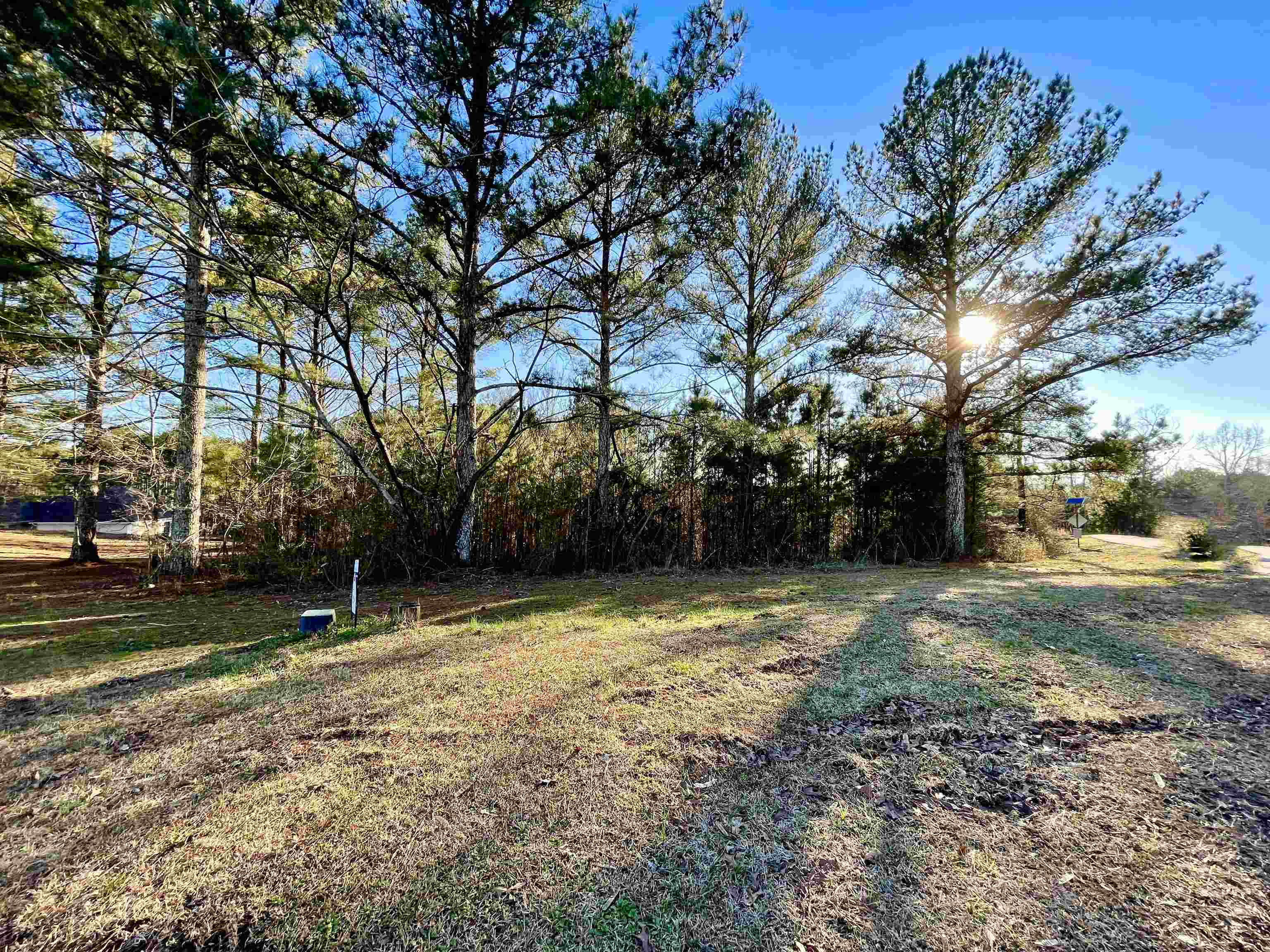 Property Photo:  Lot 30 Teem Rd  AL 35057 - CULLMAN 