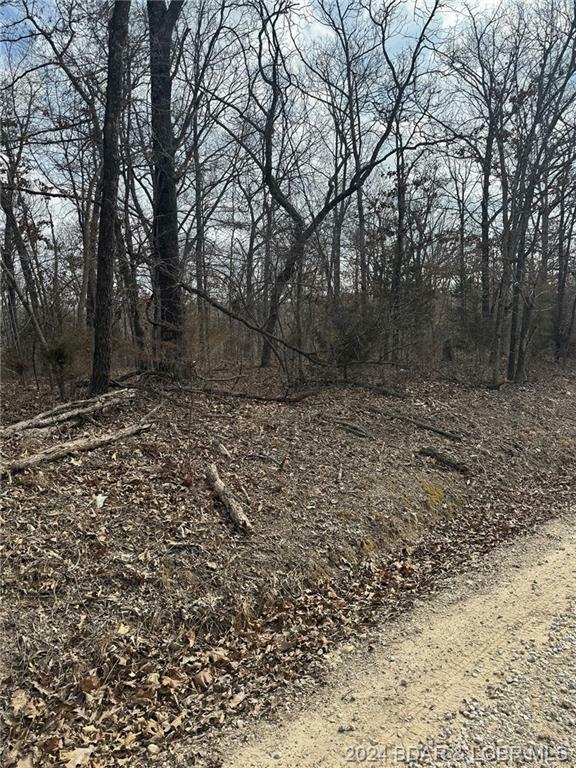 Property Photo:  Kolb Hollow Road  MO 65324 