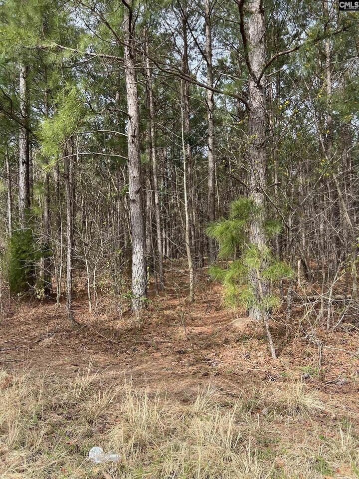 Property Photo:  5684 Moses Dingle  SC 29102 