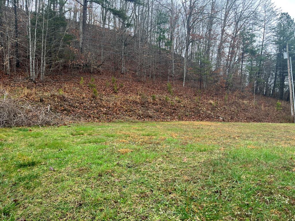 Property Photo:  Lot #5 Homestead Estates  KY 41263 