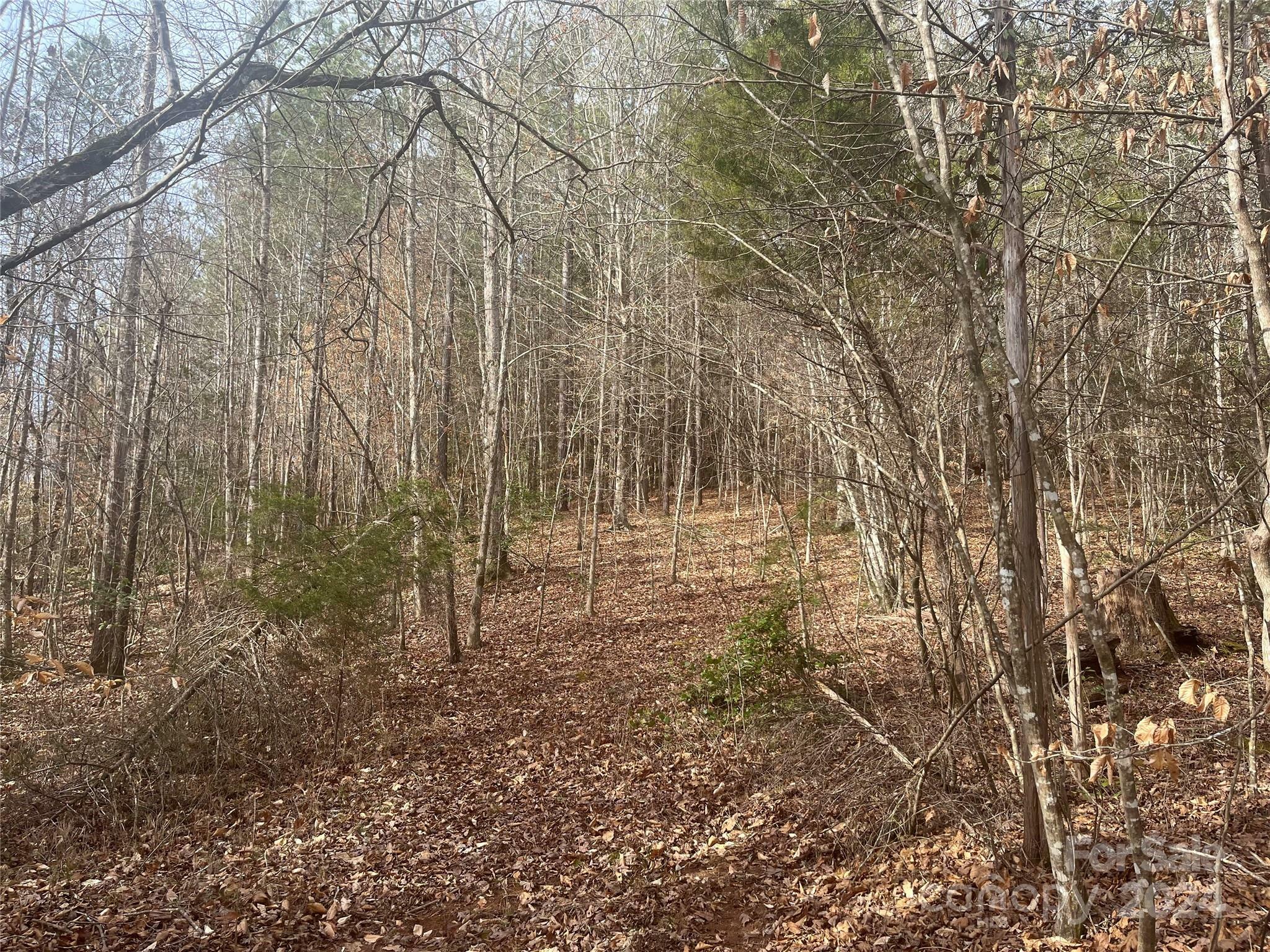 Property Photo:  0 Coxe Road 4  NC 28782 