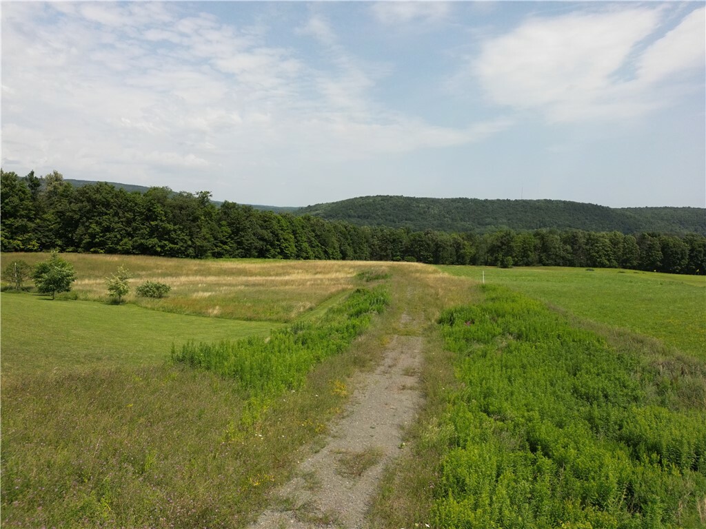 Property Photo:  118 Cox Road  NY 14867 