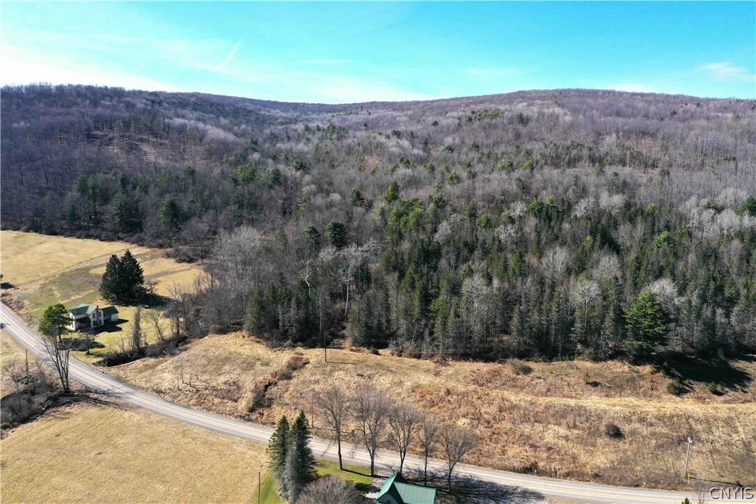 Property Photo:  00 Milwaukee Road  NY 14855 