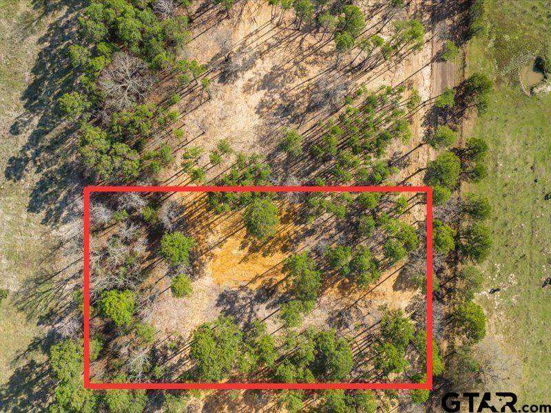 Property Photo:  Lot 4 County Road 2540  TX 75773 