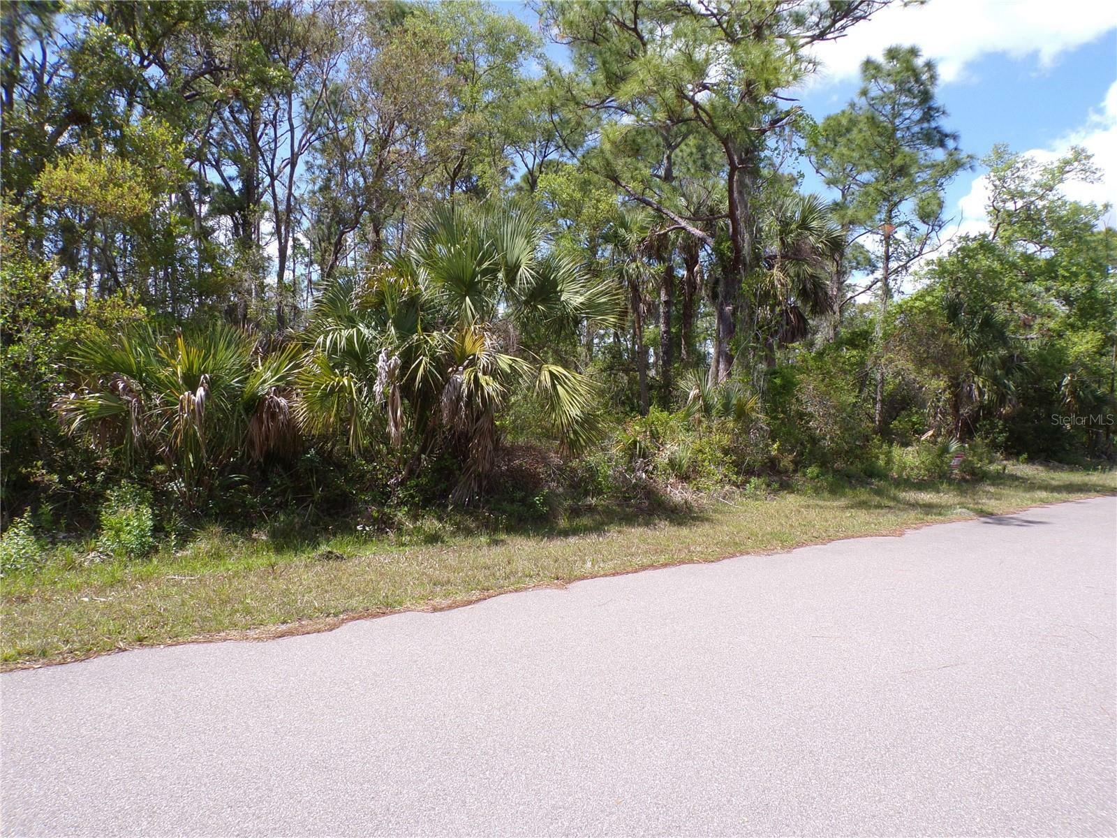 Property Photo: 1319 Friar Street FL 33953