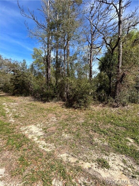 Property Photo:  2101 W Most Lane  FL 34434 