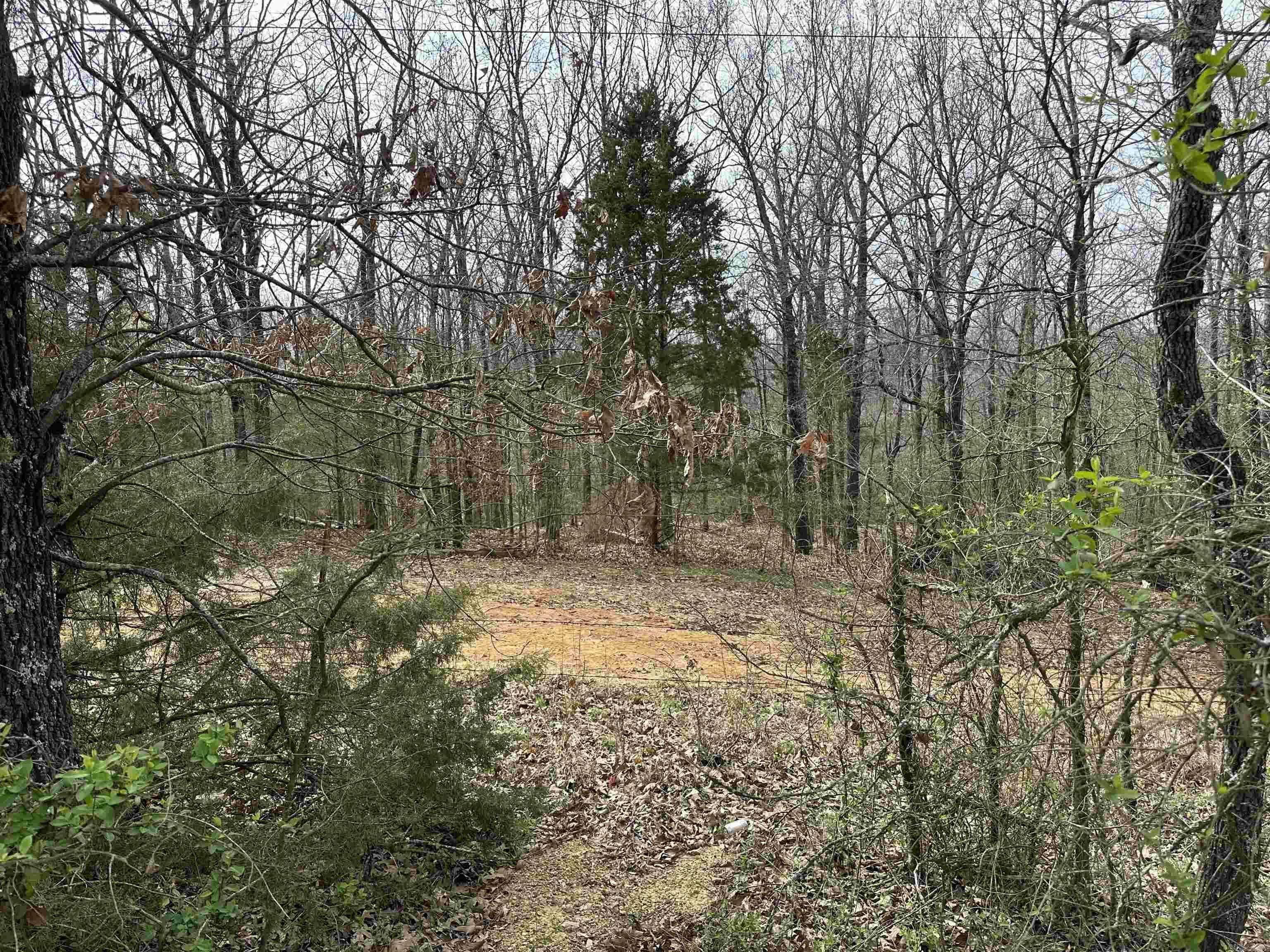 Property Photo:  Lot 4 Raby Road  AR 72432 