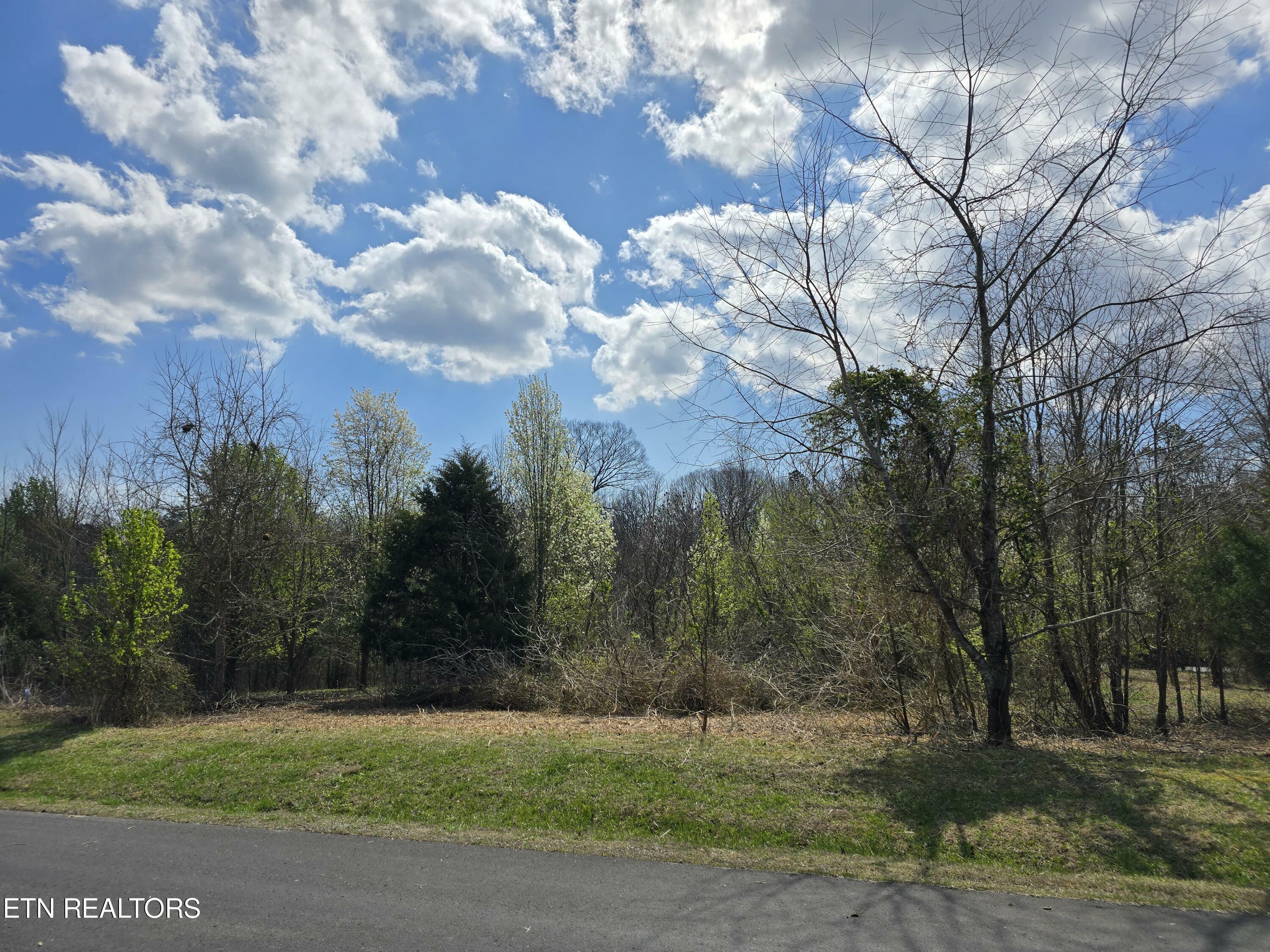 Property Photo: Lot 3 Walelu Tr TN 37885