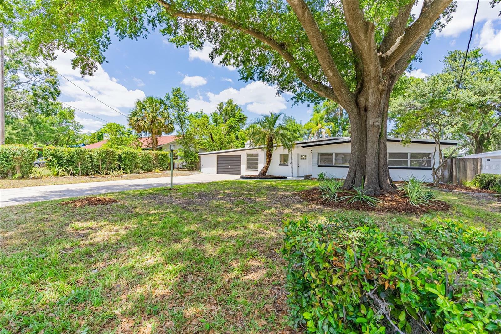 Property Photo:  220 Blossom Lane  FL 32789 