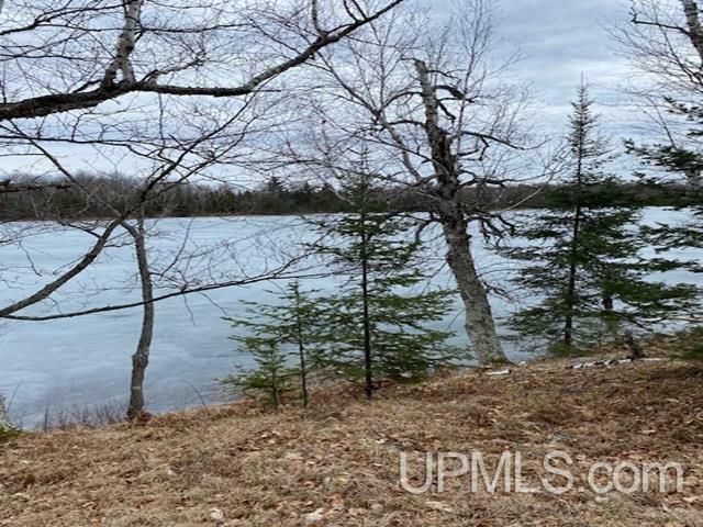 Property Photo:  Lot 7 E East Maggie Point  MI 49920 