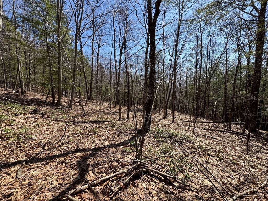 Property Photo: 544 Fox Hill Rd (Vacant Land) MA 01337
