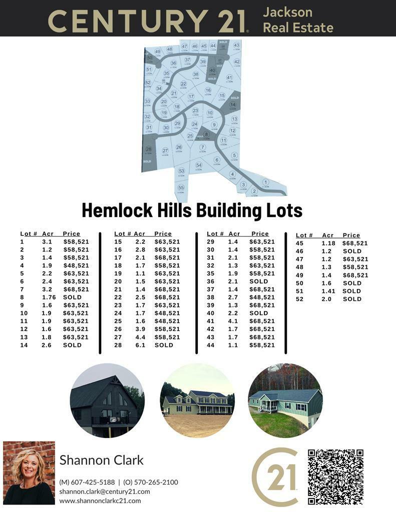 Property Photo:  Lot 1 Hemlock Hills Rd  PA 18848 