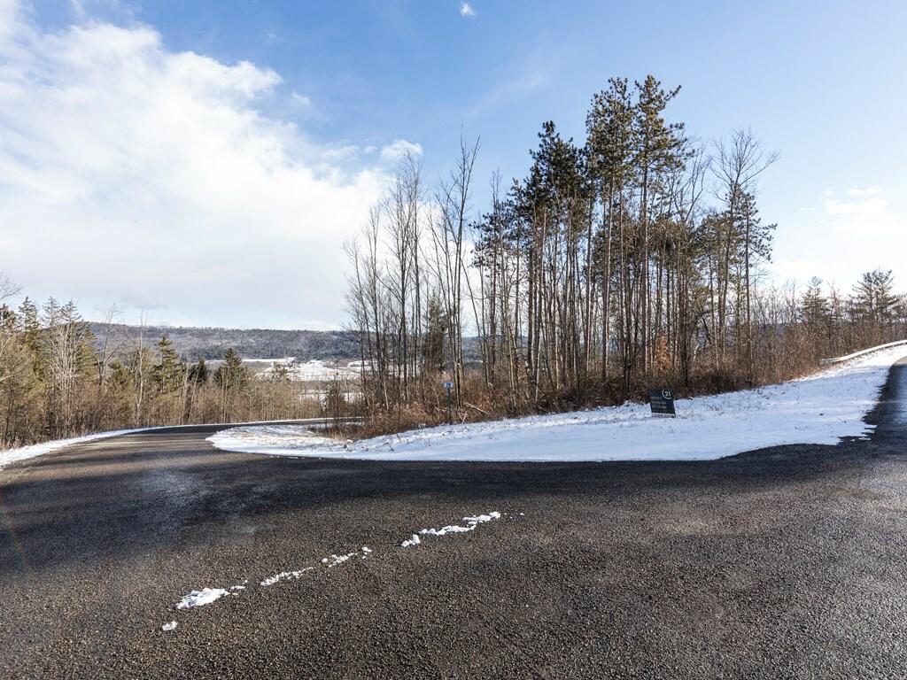 Property Photo:  Lot 29 Hemlock Hills Rd  PA 18848 