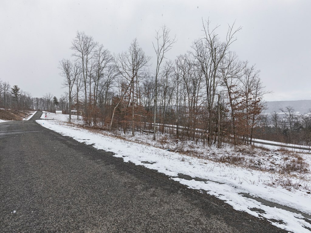 Property Photo:  Lot 37 Hemlock Hills Rd  PA 18848 