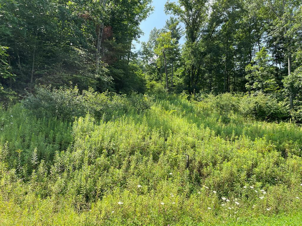 Property Photo:  Lot 38 Hemlock Hills Rd  PA 18848 