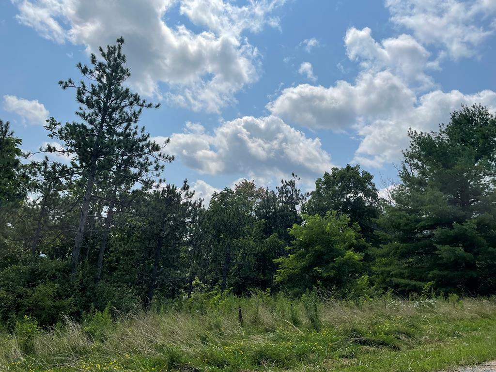 Property Photo:  Lot 5 Hemlock Hills Rd  PA 18848 