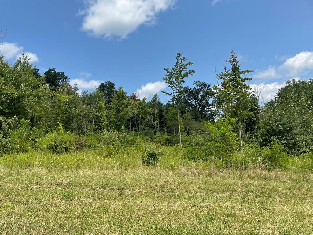 Property Photo:  Lot 11 Hemlock Hills Rd  PA 18848 