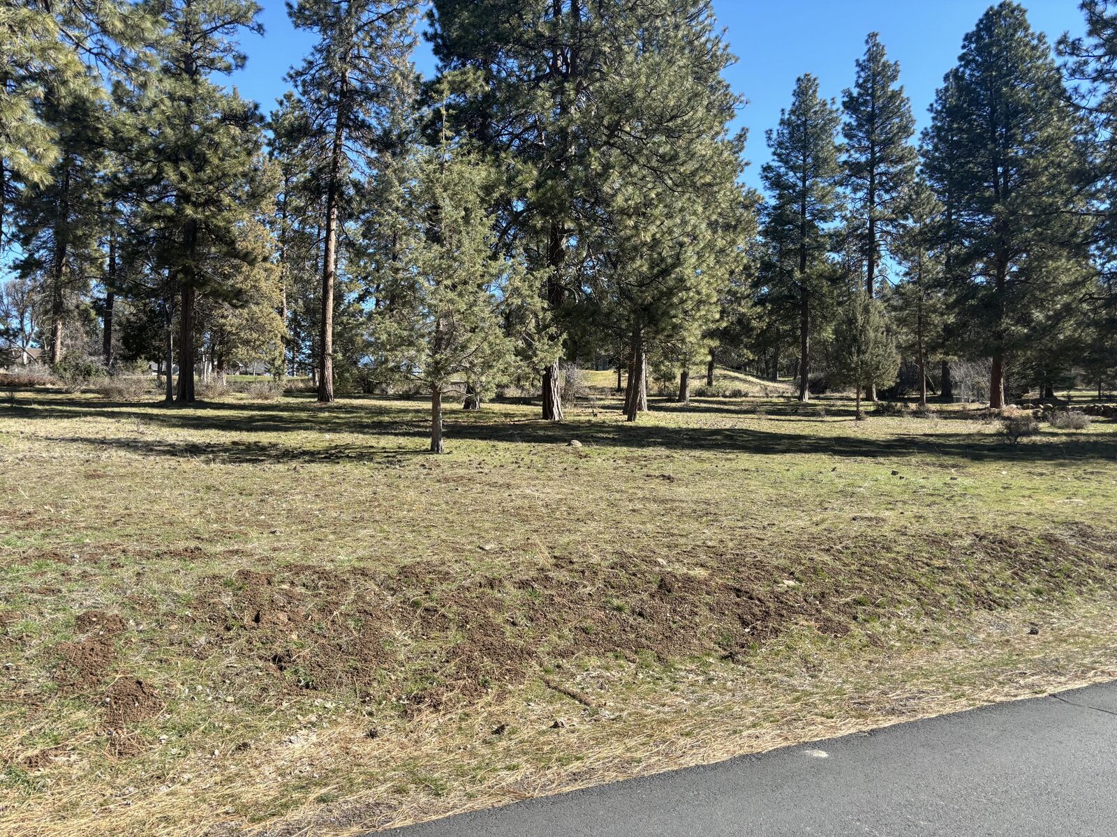 Property Photo: 11925 Merganser Road OR 97601