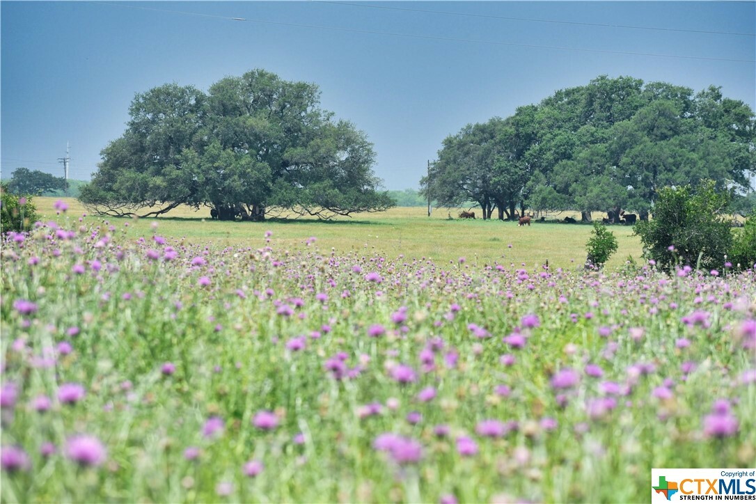 Property Photo:  Tbd Tract B Ganger Slough  TX 78638 