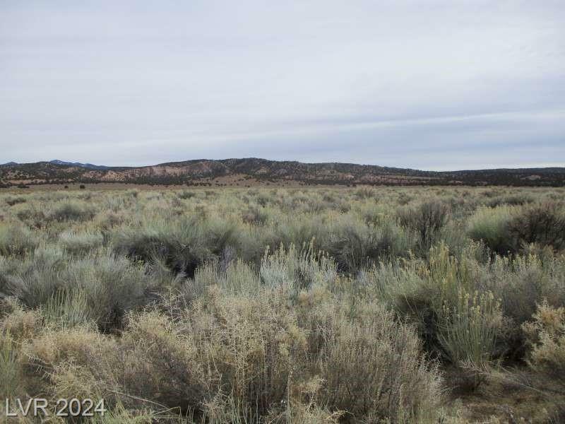 Unknown  Pioche NV 89043 photo