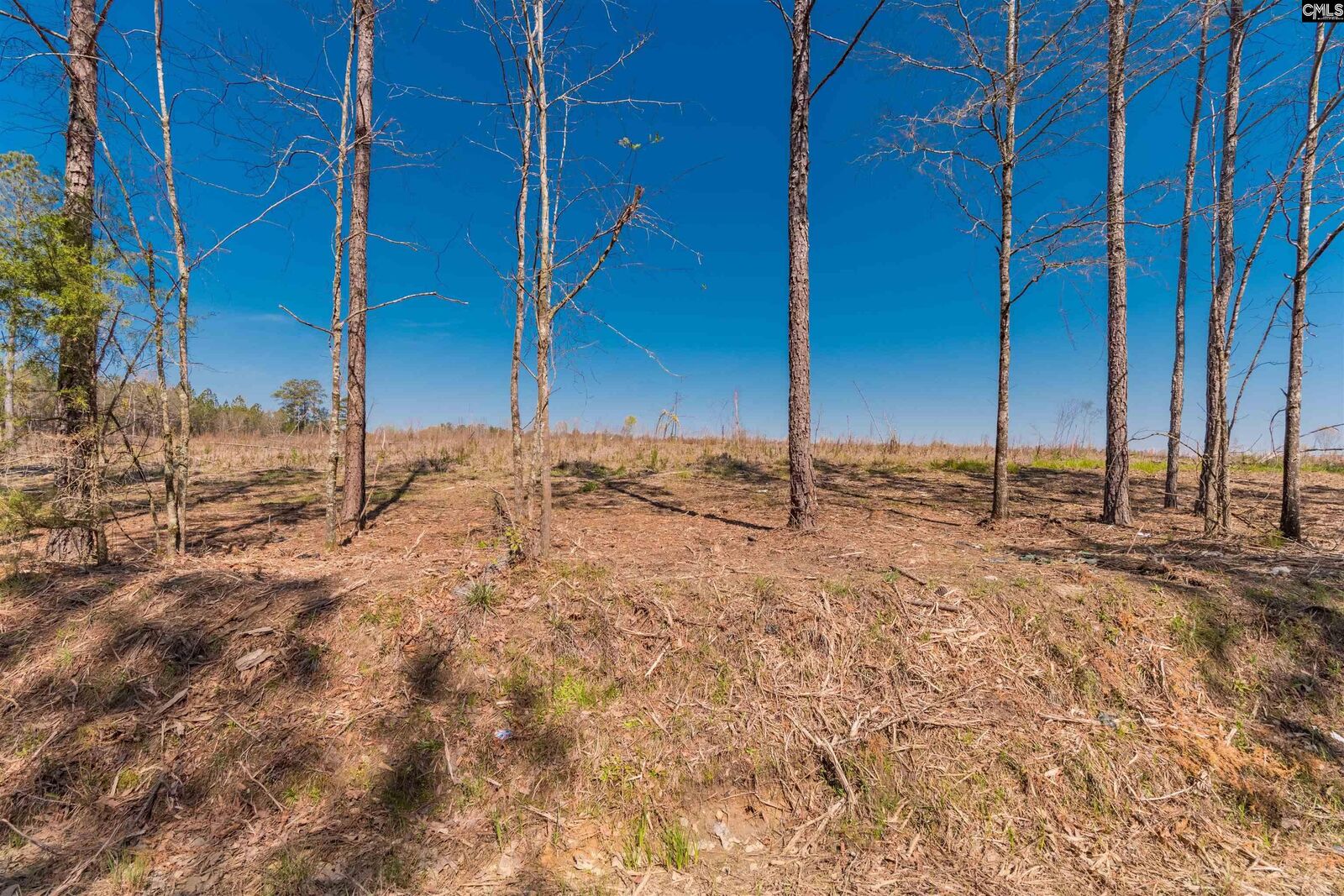 Property Photo:  Duncan  SC 29006 
