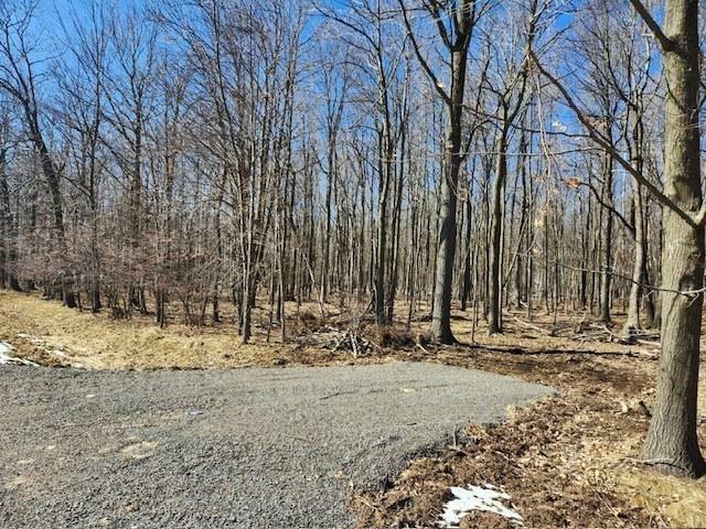 Property Photo:  Lot 1 County Road Y  WI 54449 