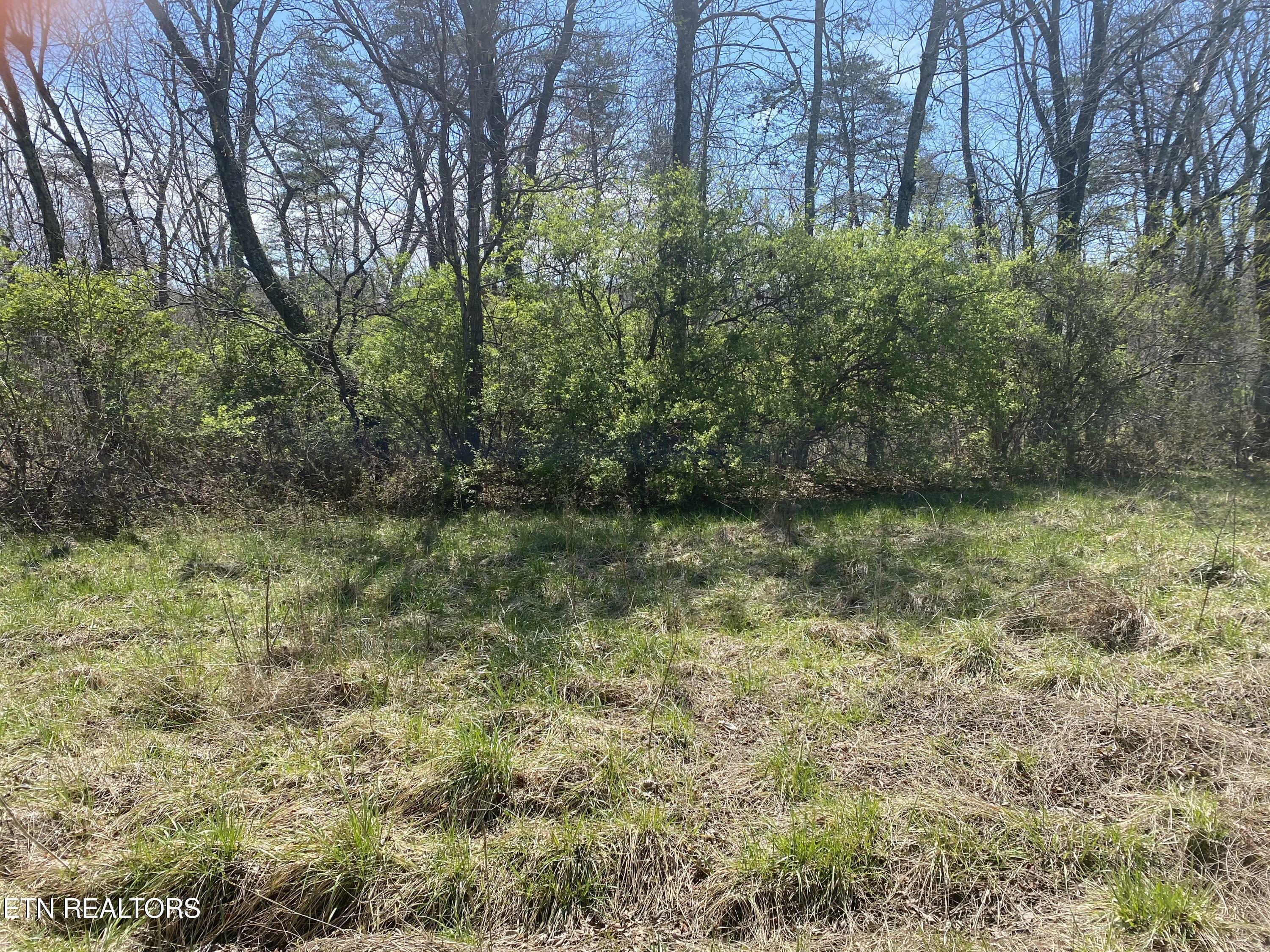 Property Photo:  #10 Hwy 127 North  TN 38555 