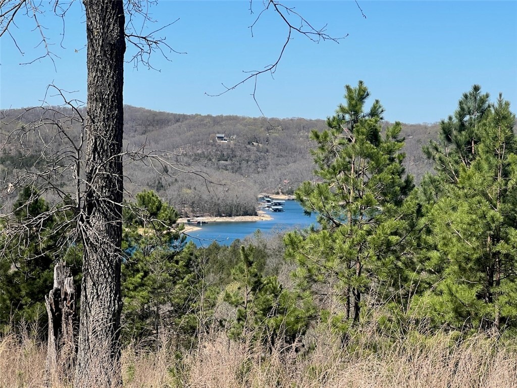 Property Photo: Lot 40 W Summit Peaks AR 72632