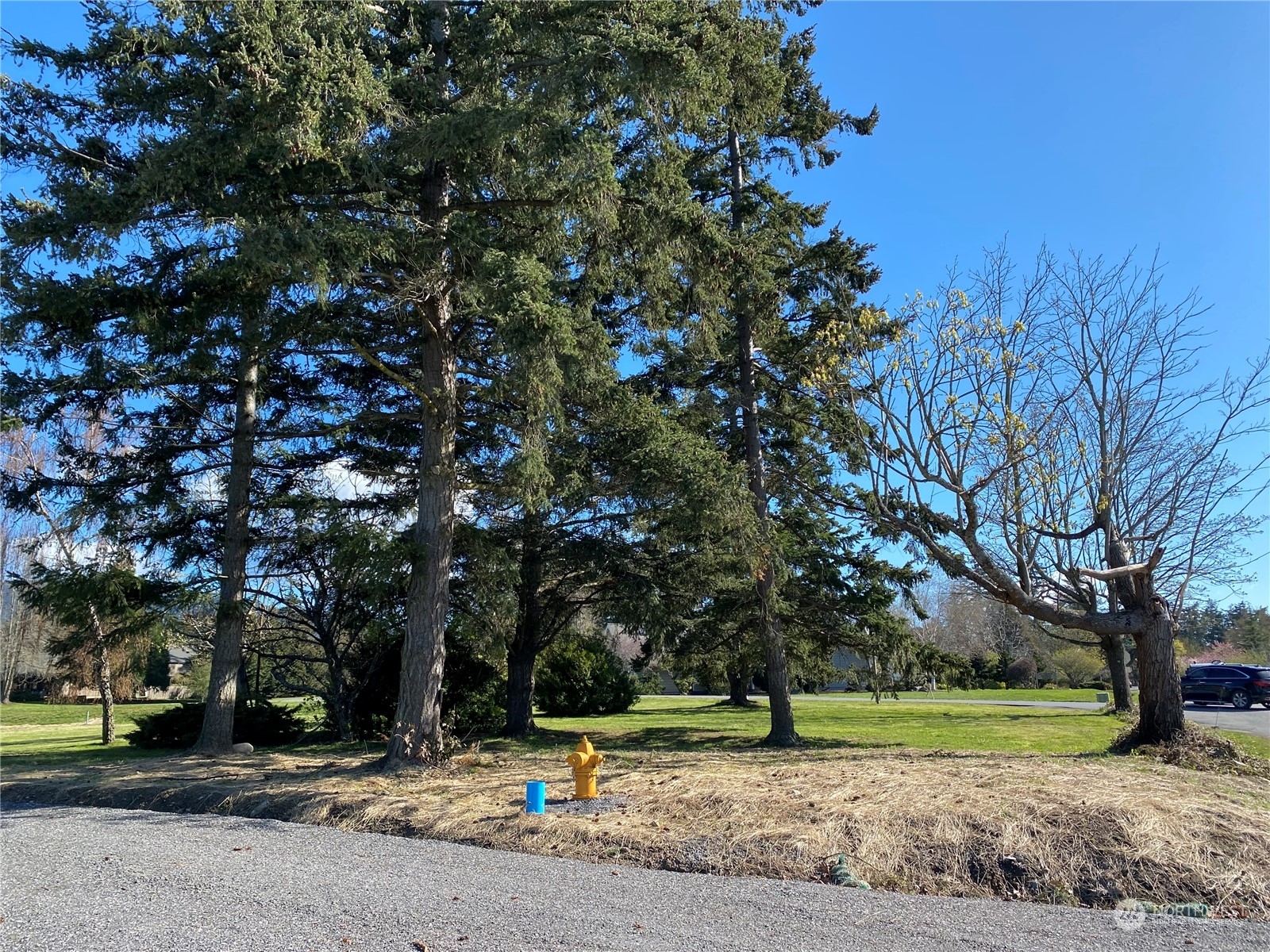 Property Photo: 4 Christmas Lane WA 98245