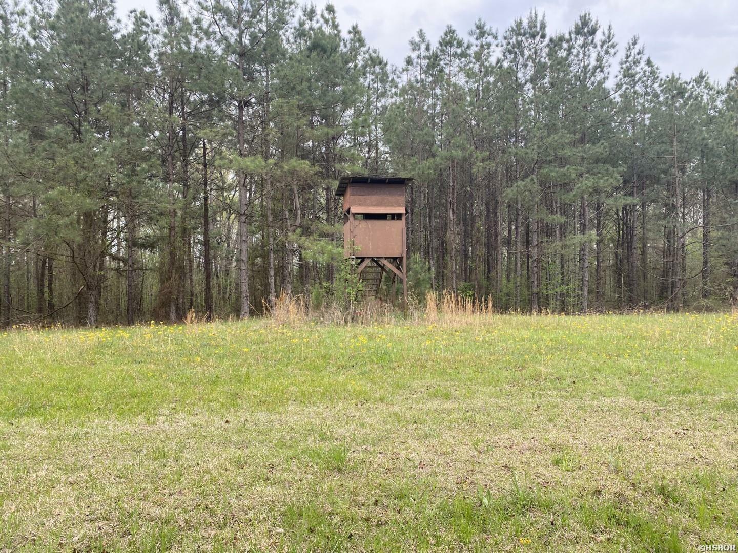 Property Photo:  000 Bowenhill Road  AR 71743 