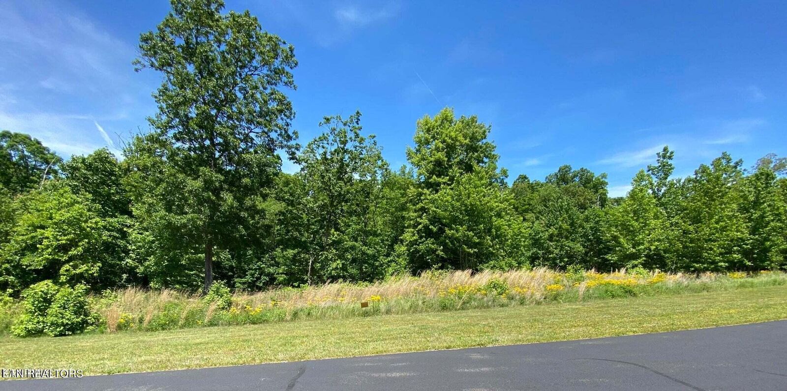 Property Photo: Water View Drive TN 37854