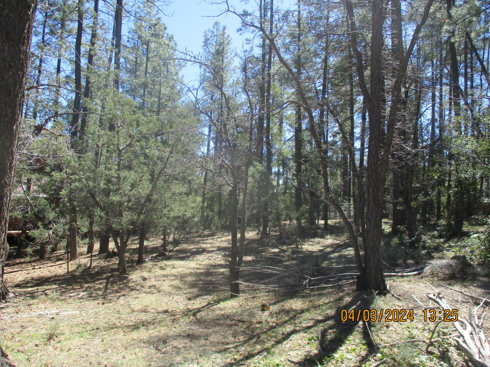 83 N Tonto Rim Loop  Payson AZ 85541 photo