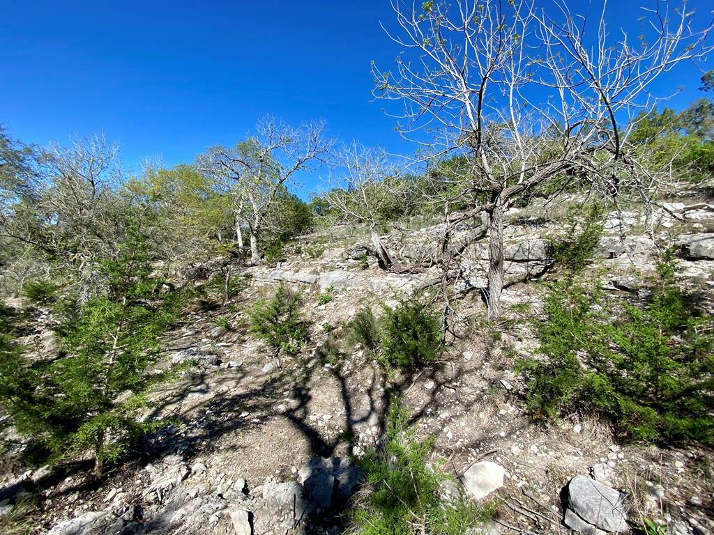 Property Photo:  624 Deer Rd  TX 78624 