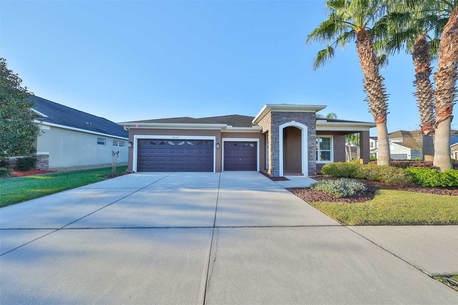 Property Photo:  31518 Bearded Oak Drive  FL 33543 