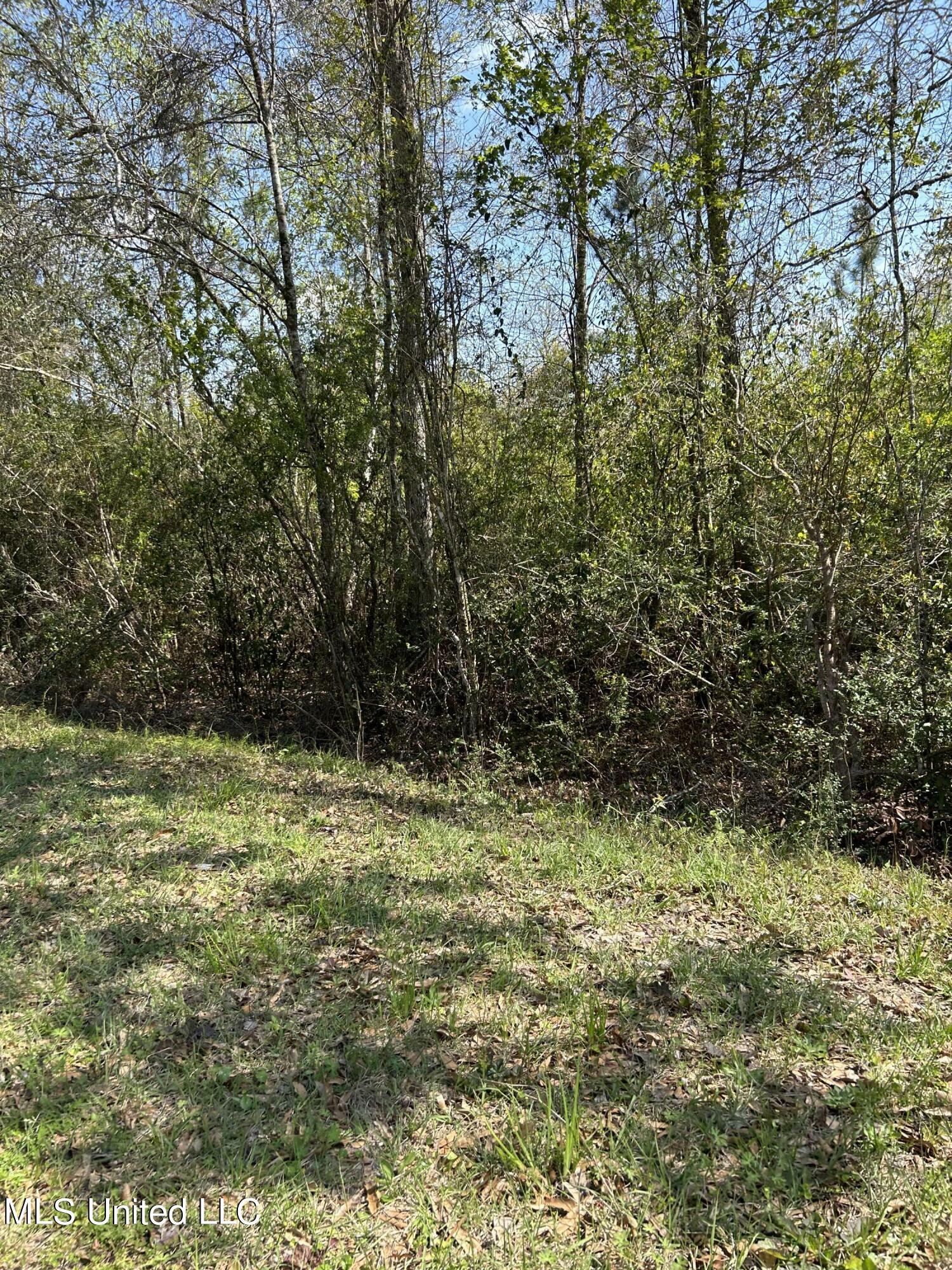 Property Photo:  White Star Road  MS 39532 