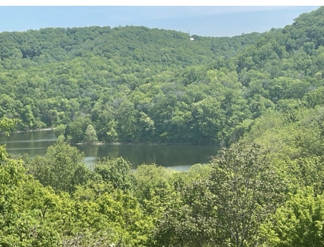 Property Photo:  107 Blackberry Ridge Way  TN 37166 