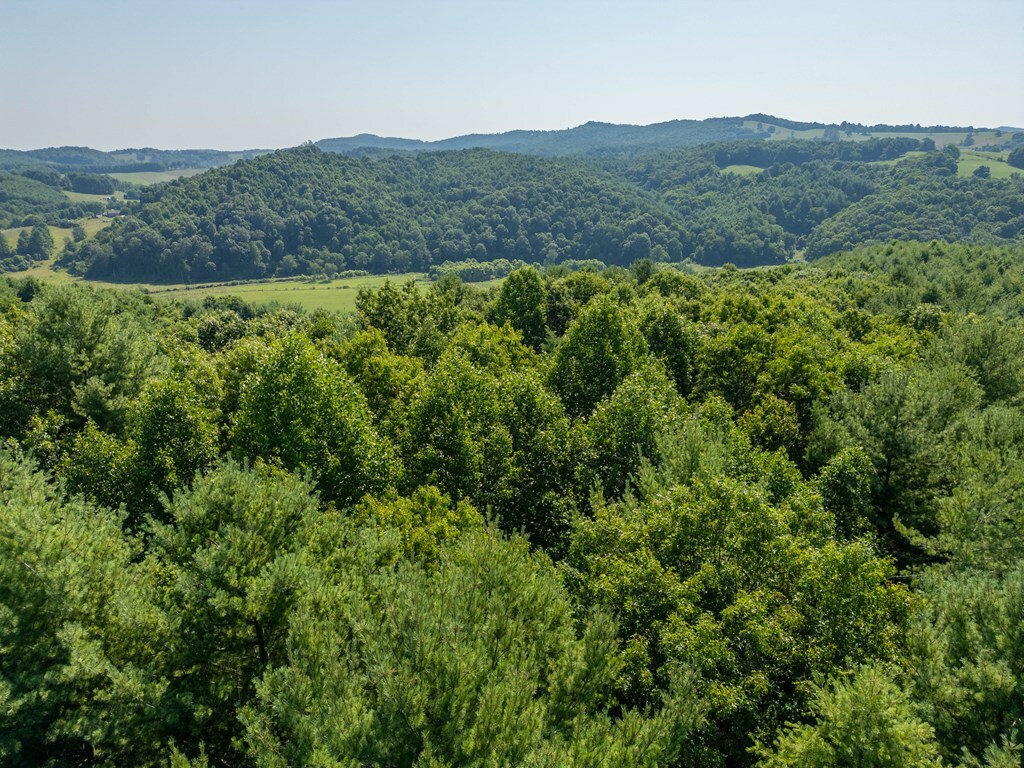 Property Photo:  Lot 14 Vista Ridge Dr  VA 24381 