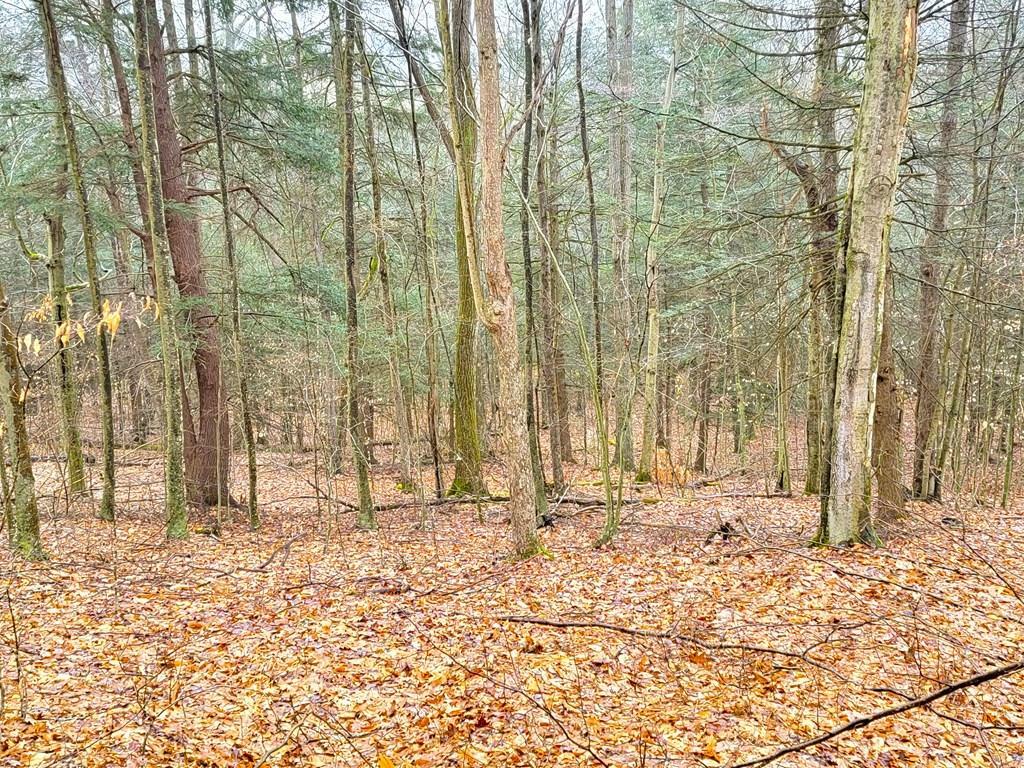 Property Photo: 0 Sugar Hill Road NY 14812