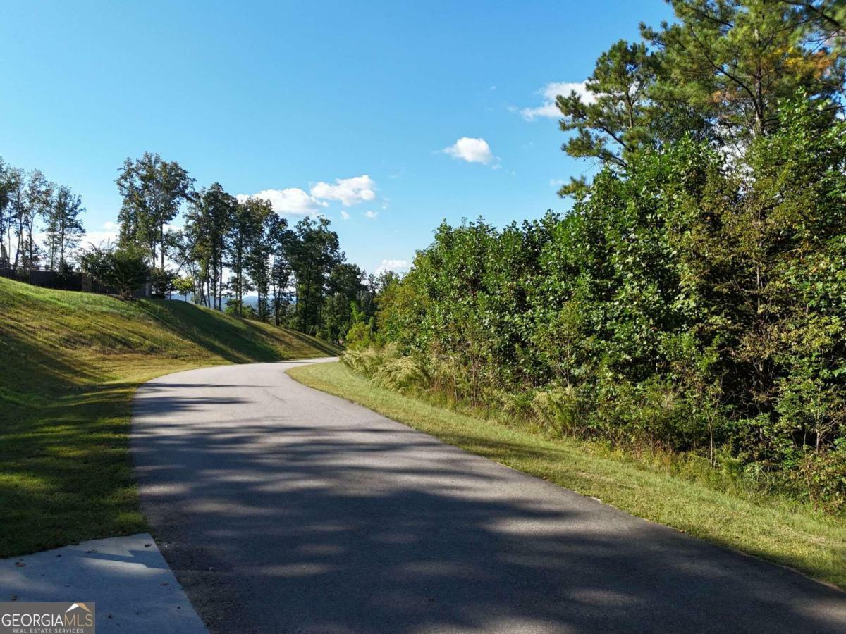 Property Photo:  Lot 55 Thirteen Hundred  GA 30512 