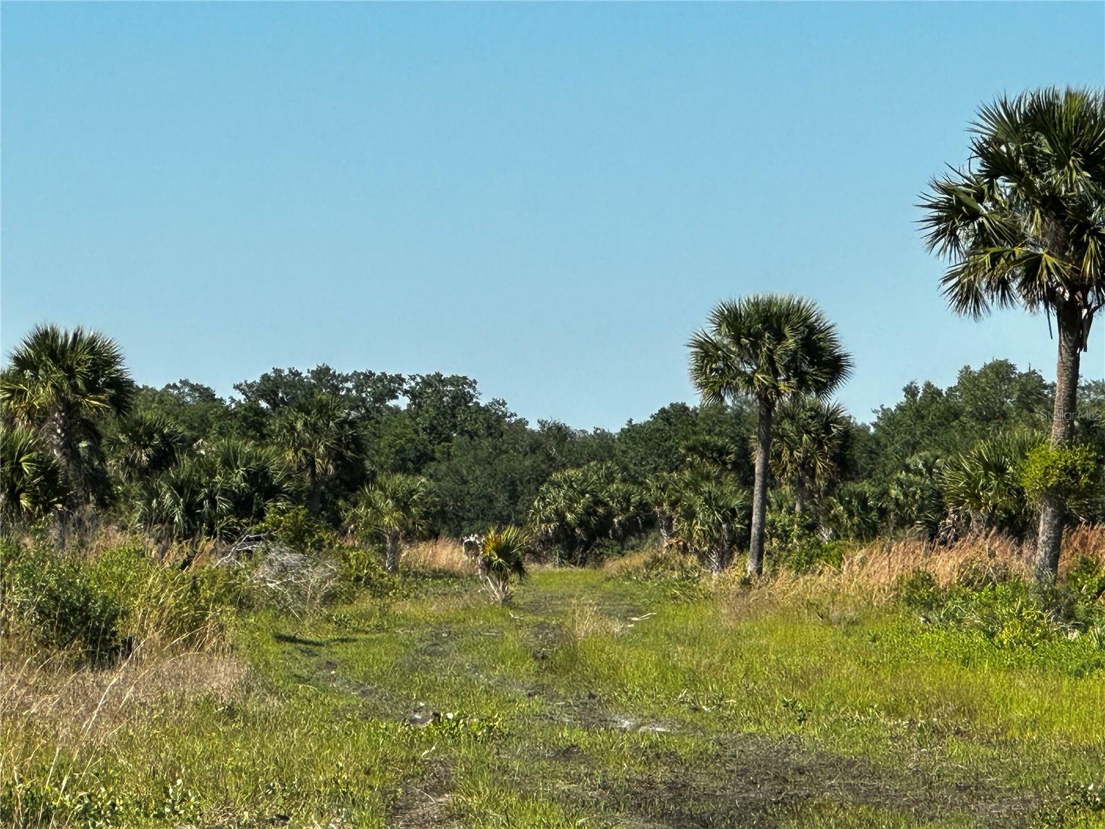 Property Photo:  1189 Cabbage Trail  FL 34974 