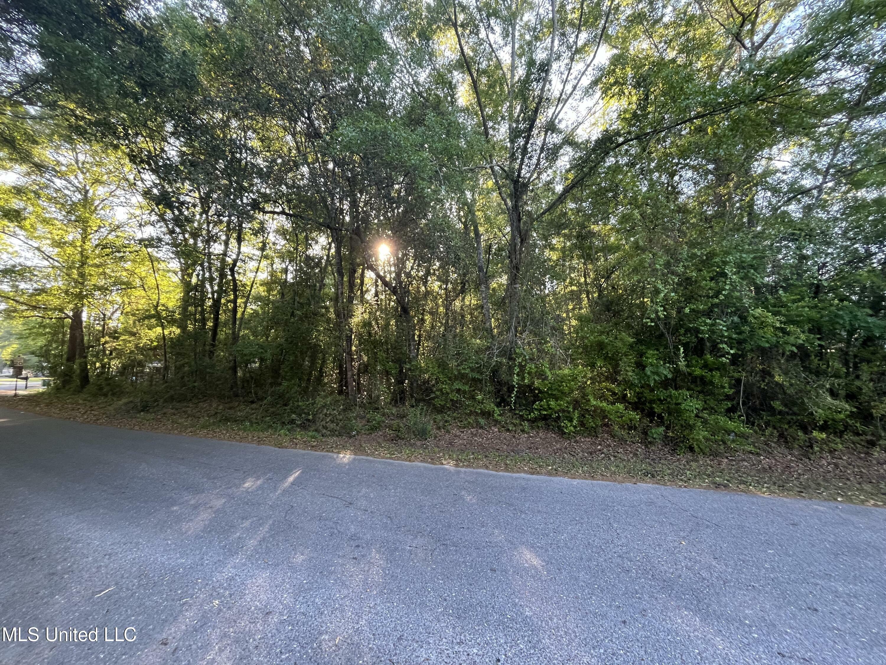 Property Photo:  Lots 36-37 Honduras Drive  MS 39553 