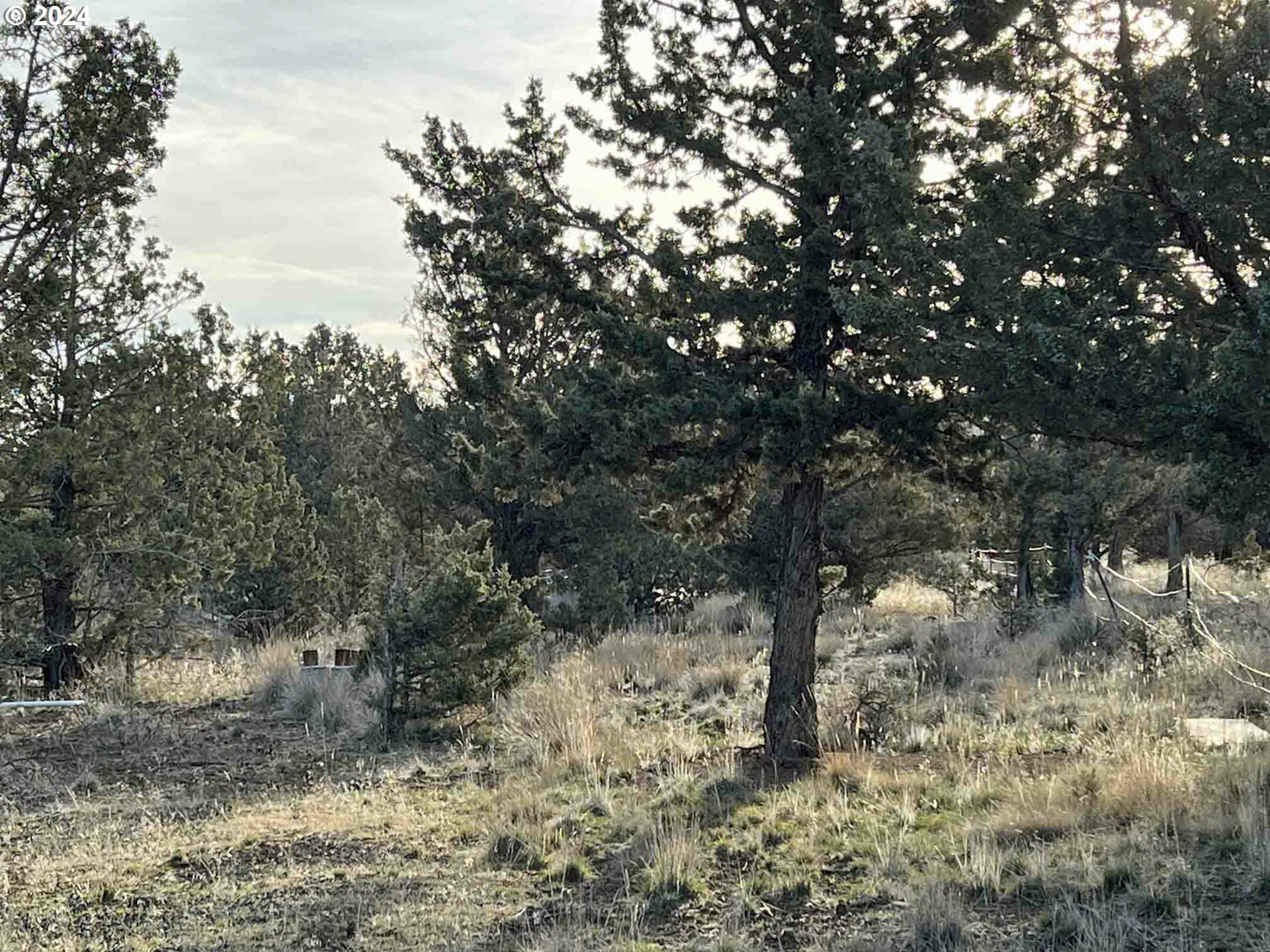 Property Photo: Southwood Dr #5 OR 97754