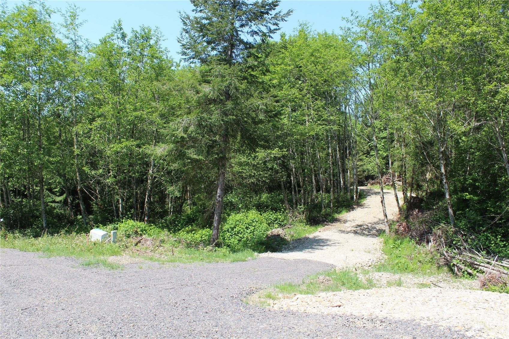 Property Photo:  0 N Bodine Road  WA 98626 