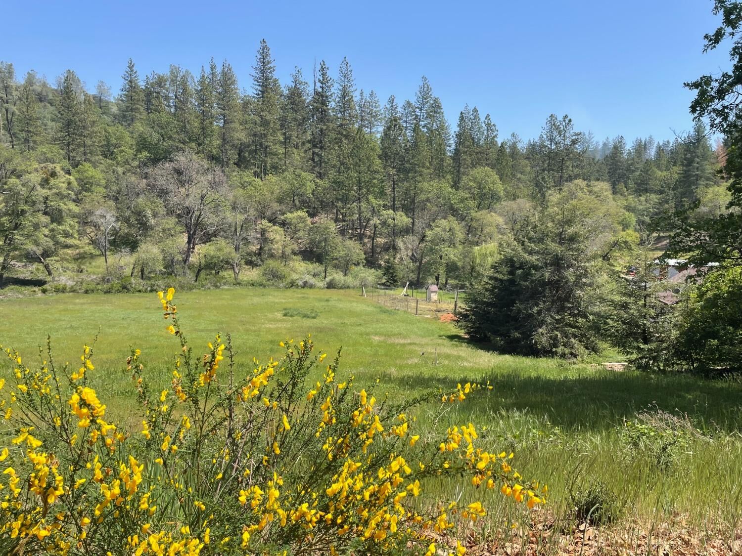 Property Photo: 18280 Placer Hills Road CA 95722