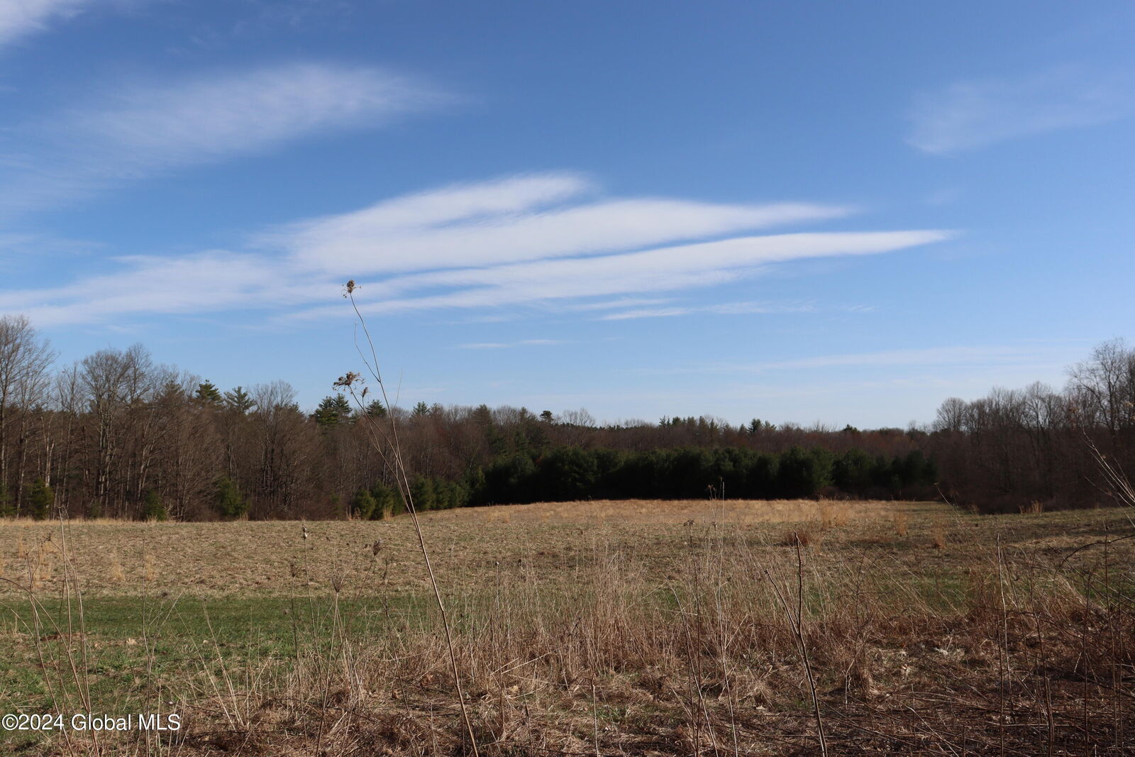 Property Photo:  1 Chuck Hollow Drive  NY 12020 