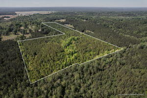 Property Photo:  35.8 Ac Pearces Rd.  MS 39425 