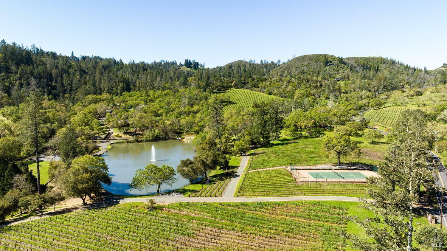 Property Photo:  225 Franz Valley School Road  CA 94515 