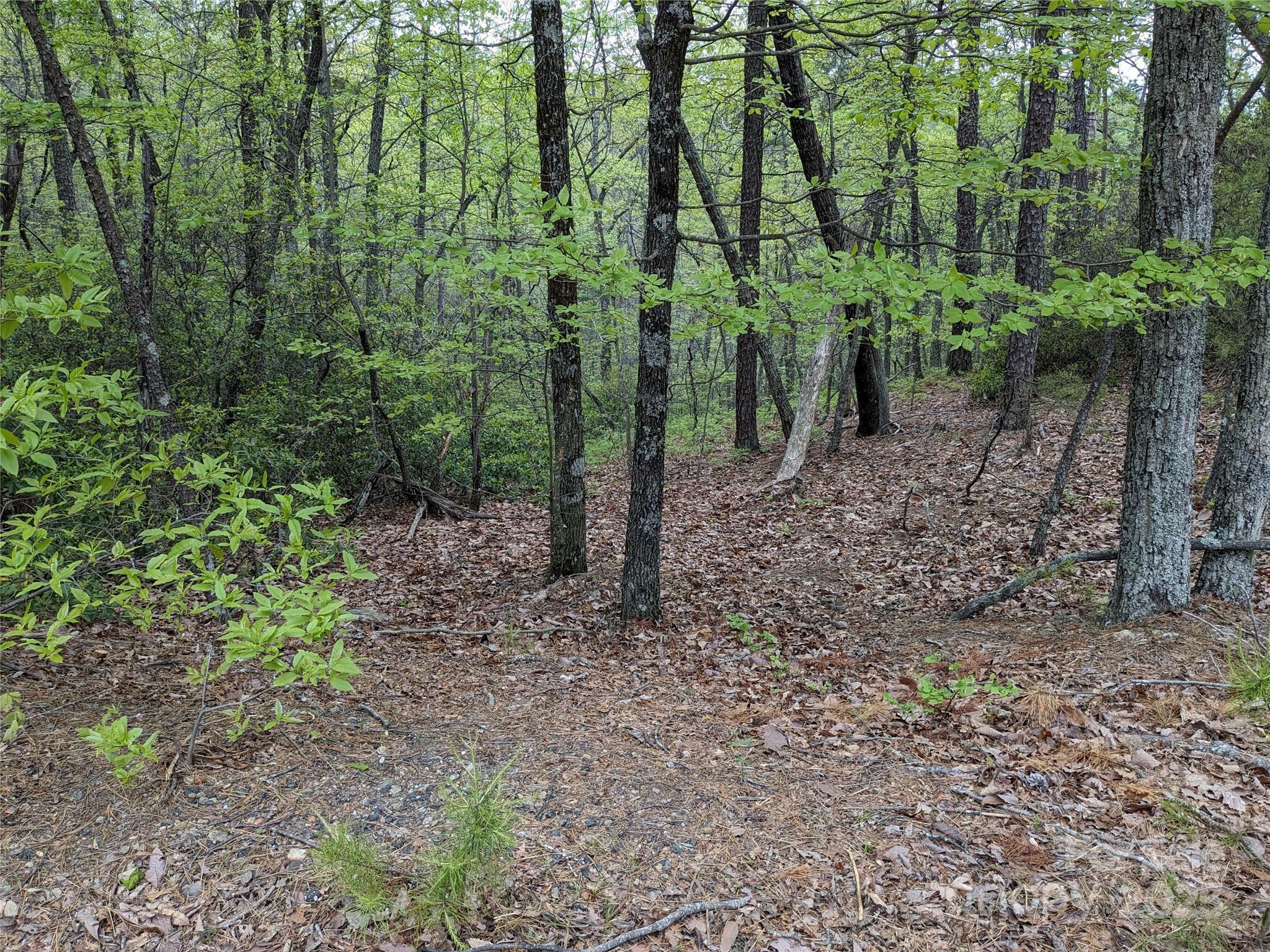 Property Photo: 8624 Sleepy Hollow Road 13 NC 28612