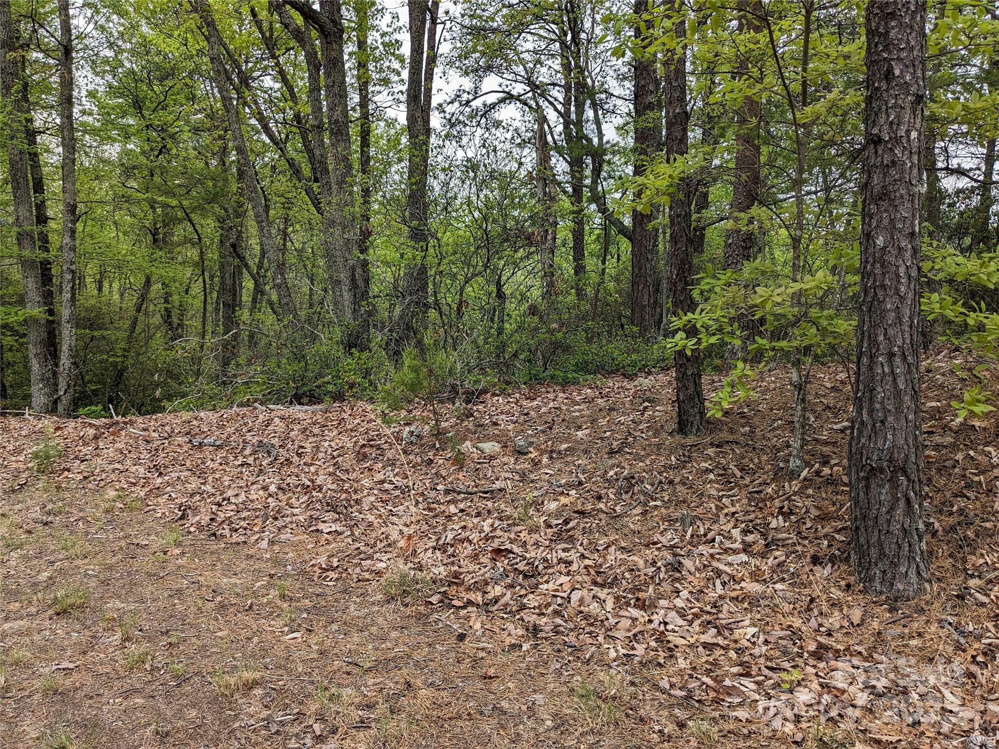 Property Photo: 8624 Sleepy Hollow Road 13 NC 28612